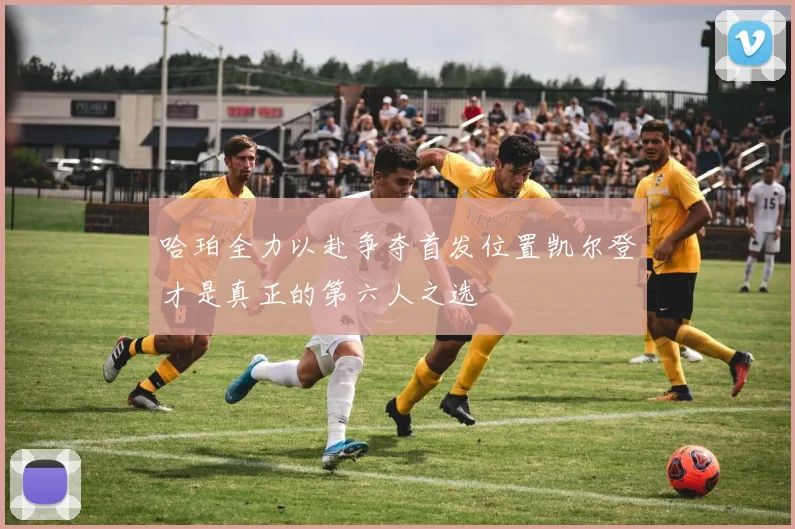 哈珀全力以赴争夺首发位置凯尔登才是真正的第六人之选